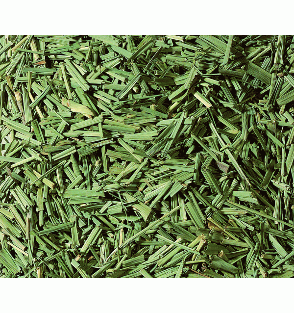 Ceai plante Lemon-grass